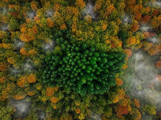 换一个角度拍摄 丹麦的森林又有了另一种感觉